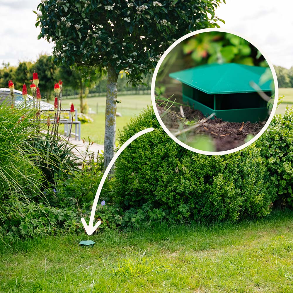 SnailTrap™ – Øko-venlig Skadedyrsbekæmpelse