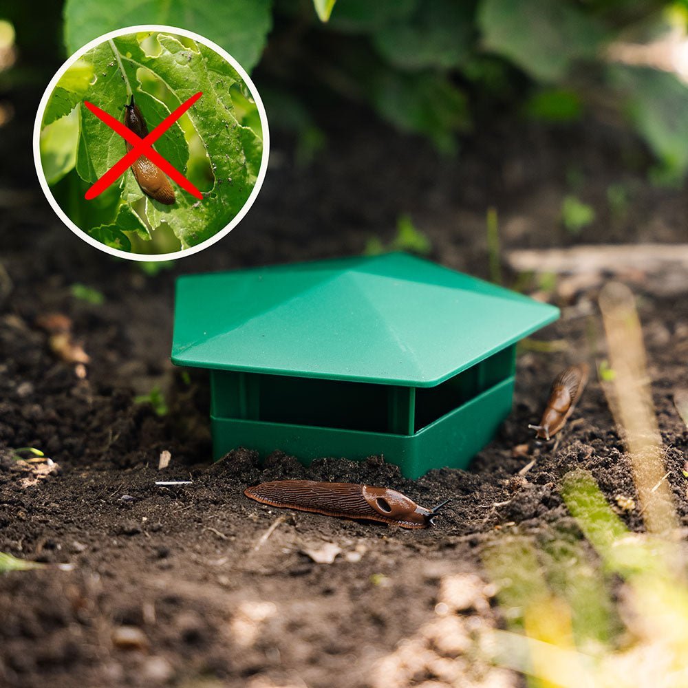 SnailTrap™ – Øko-venlig Skadedyrsbekæmpelse