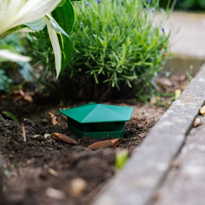 SnailTrap™ – Øko-venlig Skadedyrsbekæmpelse