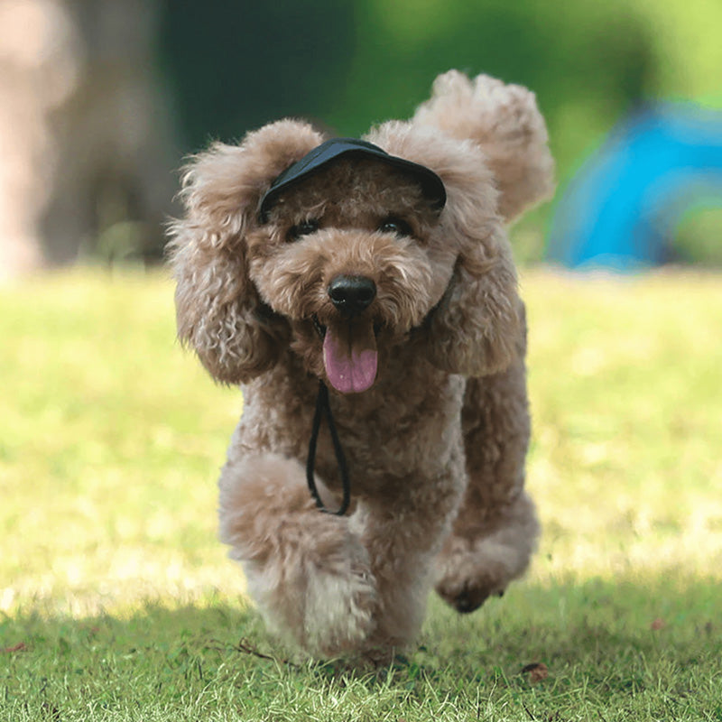 PawShade™ – Justerbar Beskyttende Solhat til Hunde