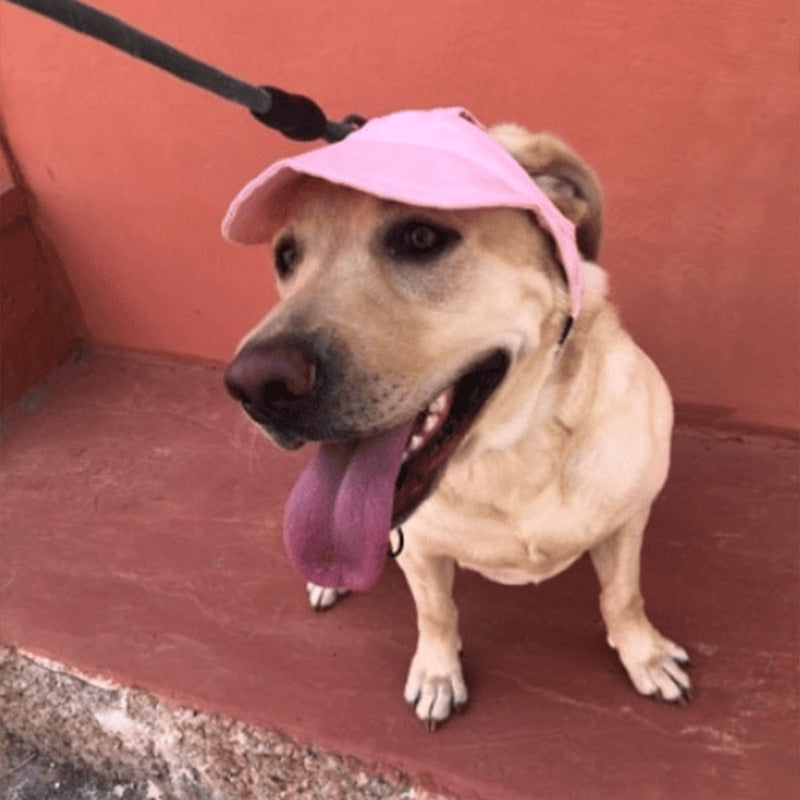 PawShade™ – Justerbar Beskyttende Solhat til Hunde