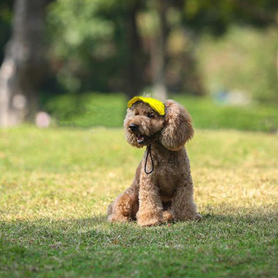 PawShade™ – Justerbar Beskyttende Solhat til Hunde