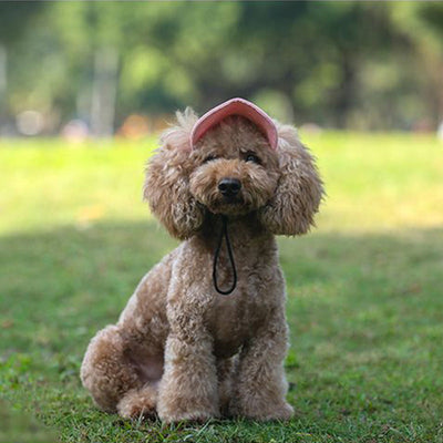 PawShade™ – Justerbar Beskyttende Solhat til Hunde