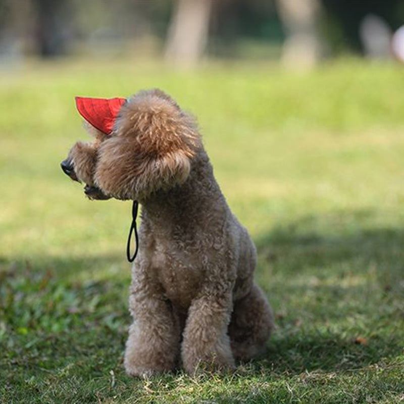 PawShade™ – Justerbar Beskyttende Solhat til Hunde